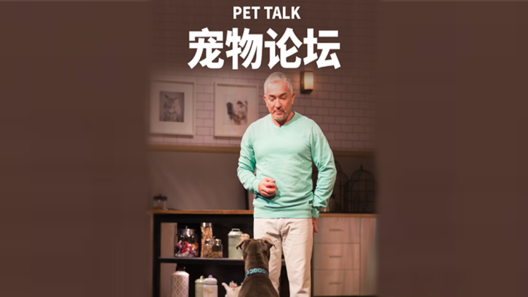 弃妇翻身竟是首富千金