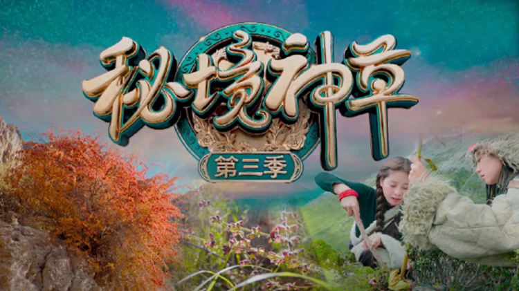 恶鬼
