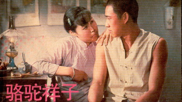 无瑕修女