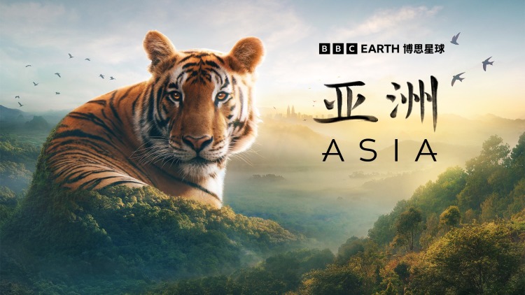 和前夫的聊天记录曝光后小鲜肉他杀疯了