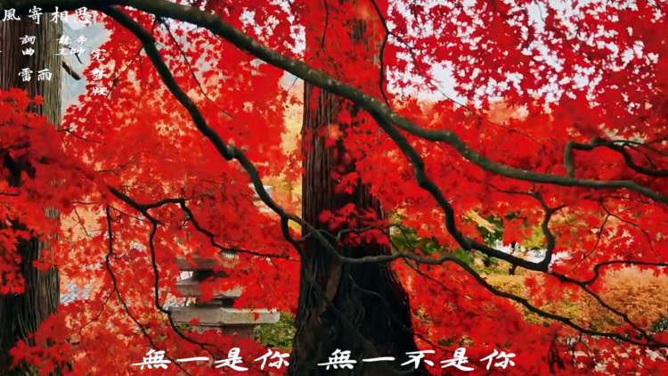 我的师弟实在太稳健了