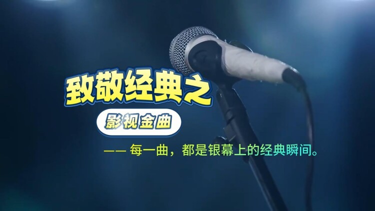 我的拍档