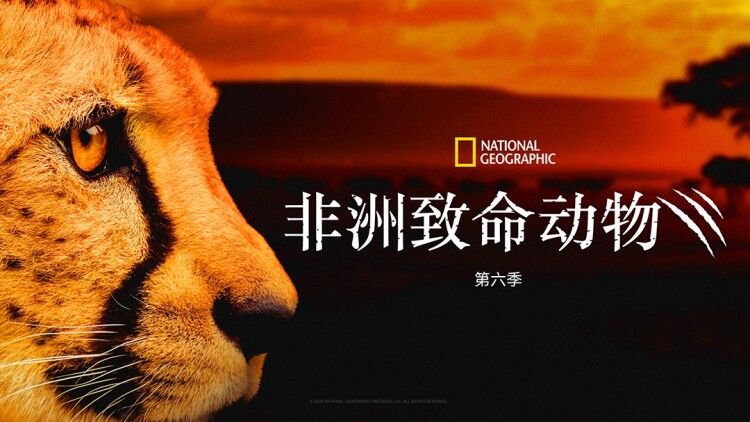《致命红包》——生死一线的对抗