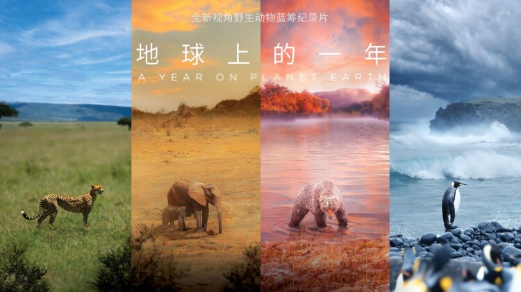 良辰好景再逢君