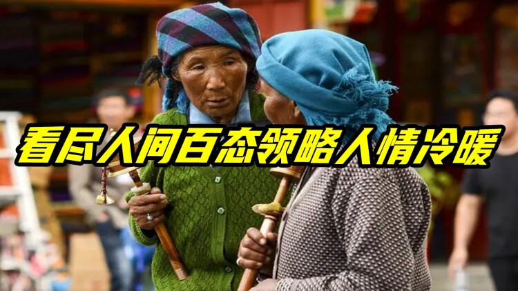 转生成猫的大叔——与人类的奇妙羁绊