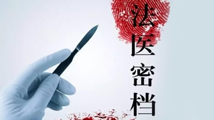 捍卫者联盟