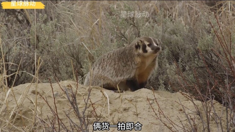 世界奇妙物语2022秋季特别篇