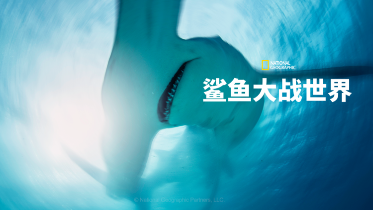 如何收听聪聪的节目