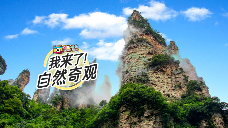 掉马后夫君与我拔刀相向