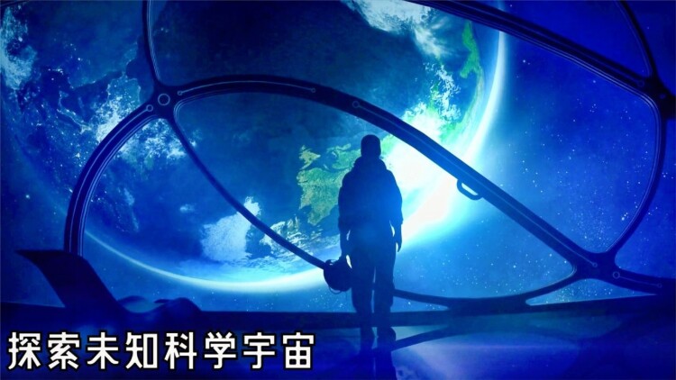 我的钱不养你的白月光