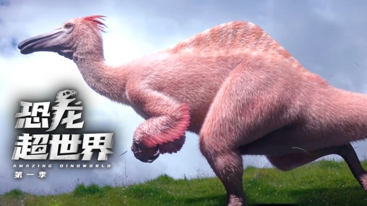 青囊传
