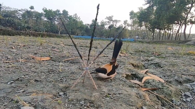 出发吧短剧山西篇