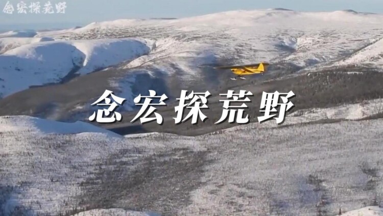茶啊二中第五季