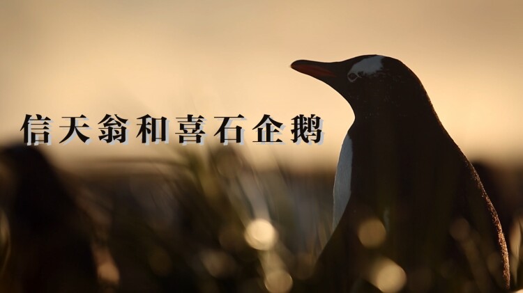 妈妈请爱我——情感的修复