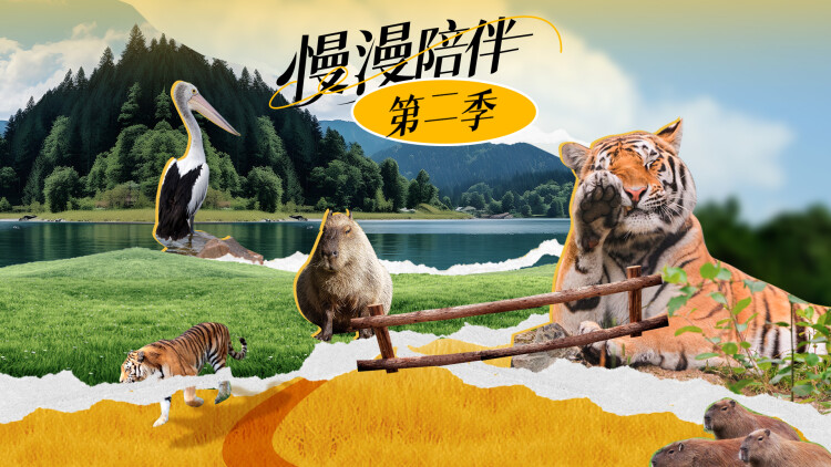 《天降小妹是福星》的成长与挑战