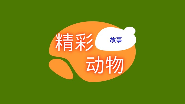 日暮乡关何处是