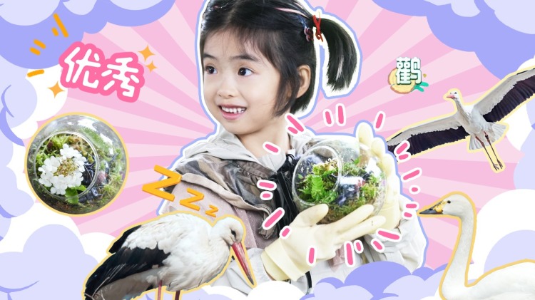 2023最美的夜bilibili晚会