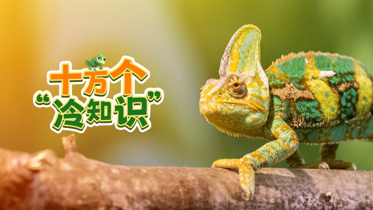亲妈是福星终得圆满