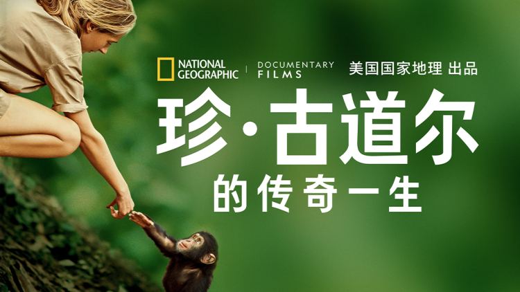 文斯小子