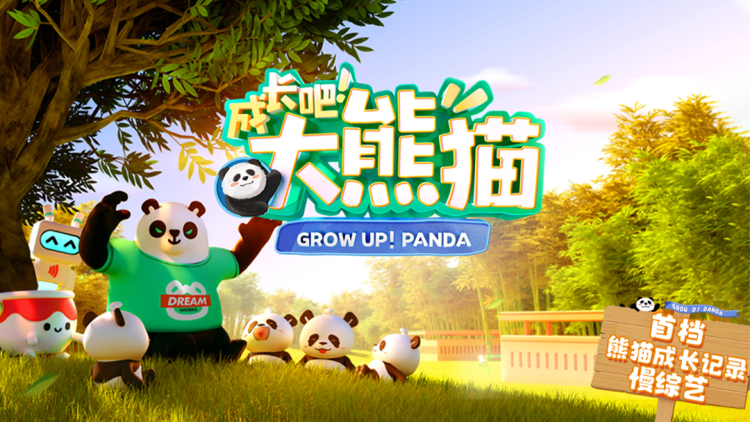 情感反诈我开启财富自由路