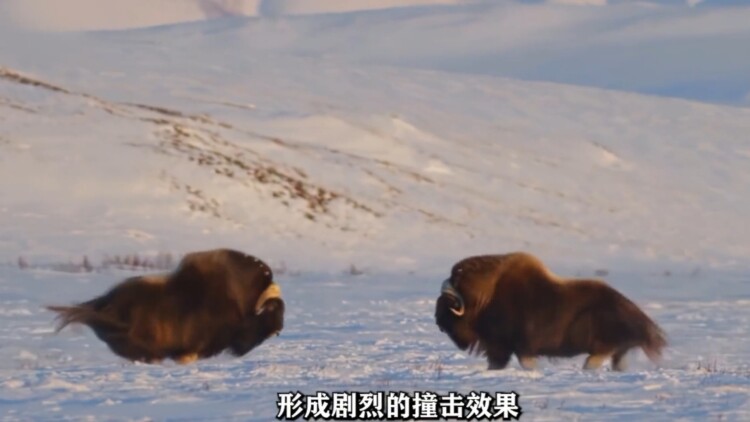 雾色渐褪时