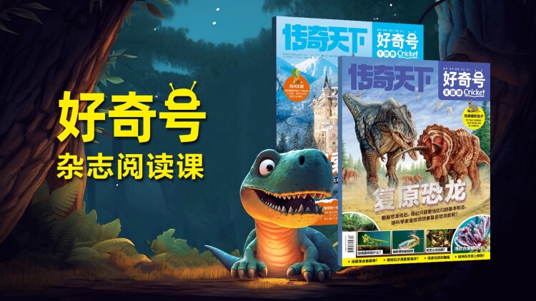 焰火之城