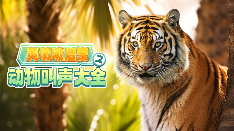 重生甜疯了勾京圈太子爷红毯热吻