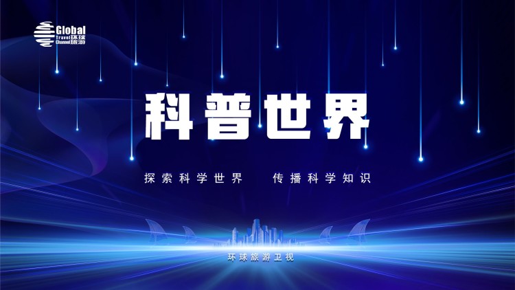 等一场月光