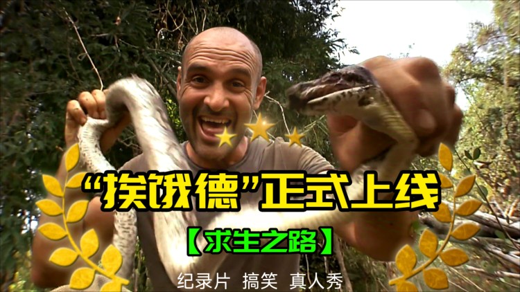 错付真心一场空
