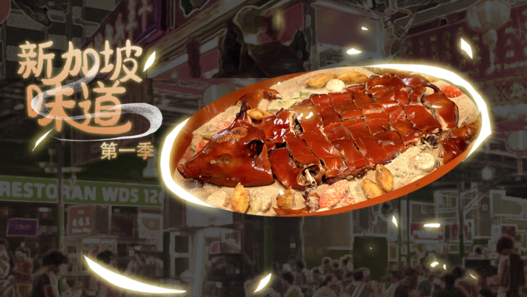 明月何时照惊鸿：携手未来