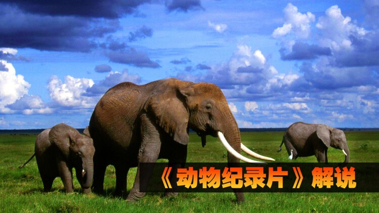 时光不曾遗忘你