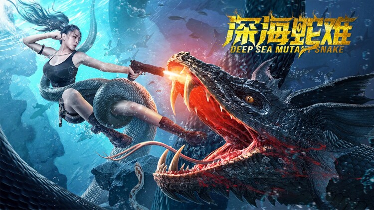 致幻婚姻——真相与幻象的边界