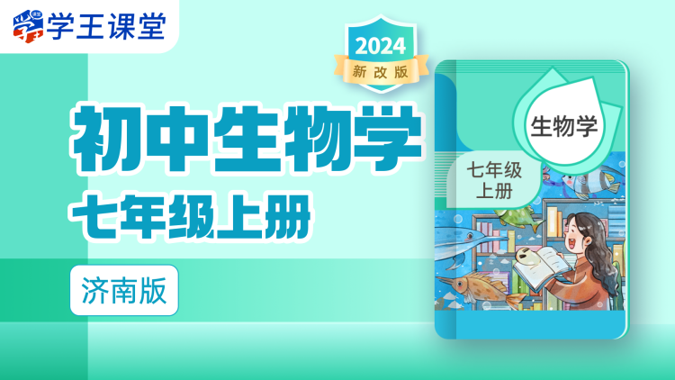 七个学生一个妈：关怀与温情