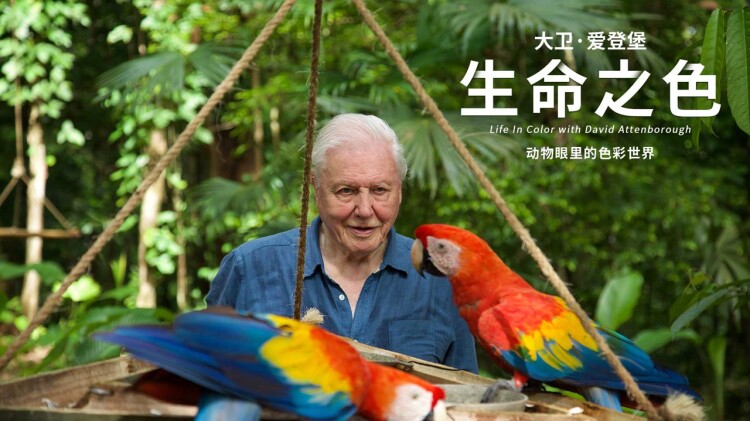 《吾心自有光明月》最新选集