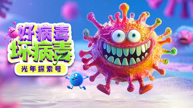 季总的替罪娇妻