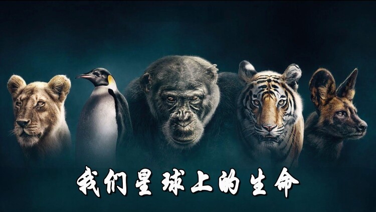 向南去