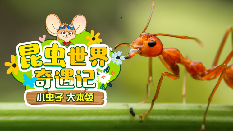 收留落魄总裁的第N天