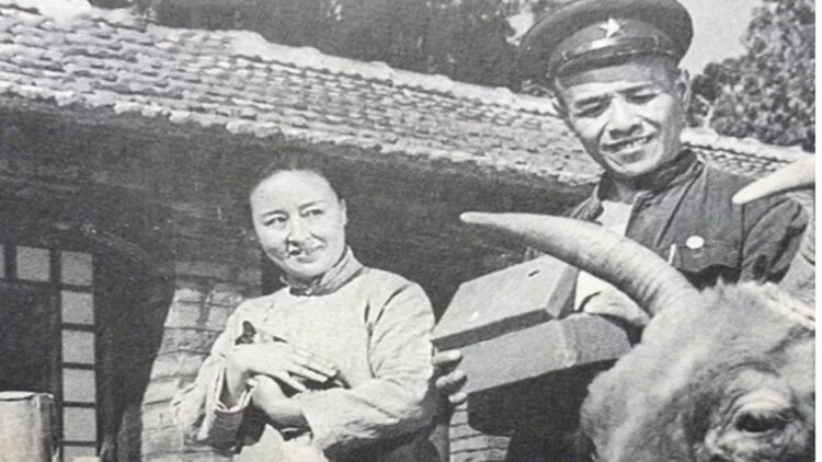 真爱智上