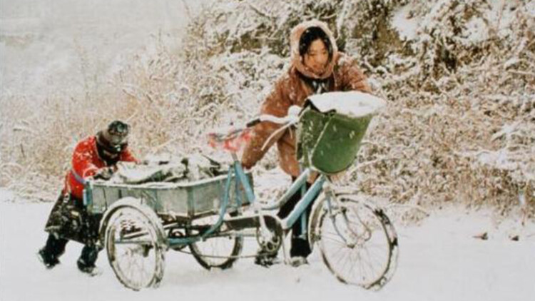 锦月藏心