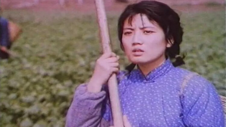 玫瑰盛开时