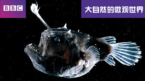 索命停尸房