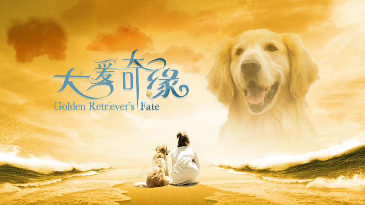 脱笼·囚笼之初