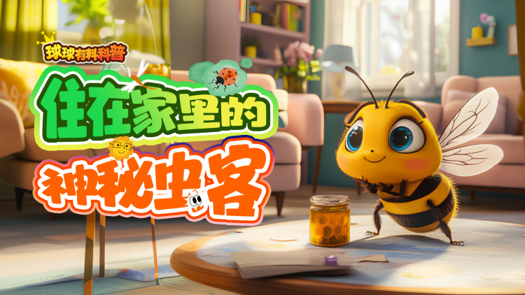 组播在地址分发中的优势与应用场景