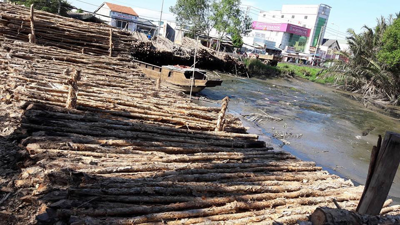 Nhận đào đóng cừ tràm